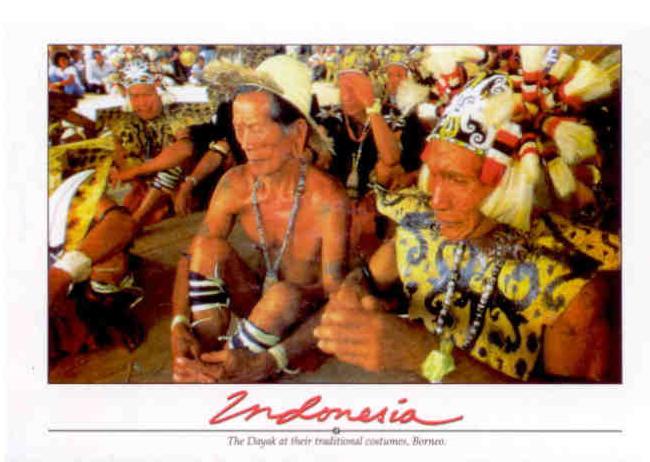 The Dayak at their traditional costumes, Borneo