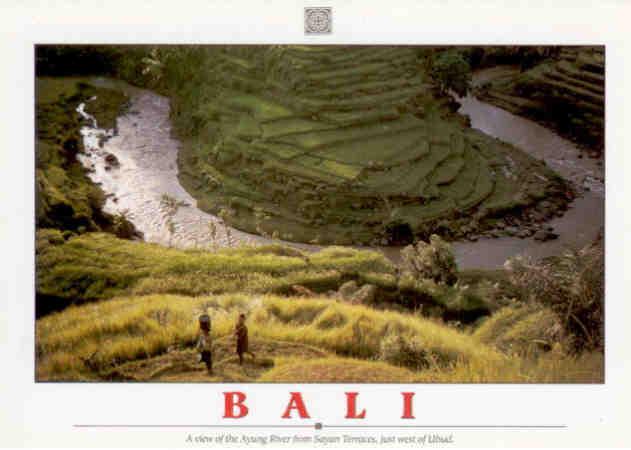 Bali, Ayung River from Sayan Terraces