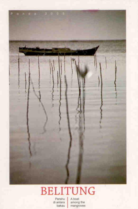 Belitung, A boat among the mangroves