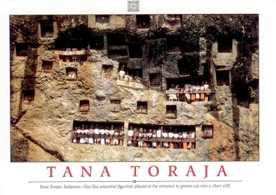 Tana Toraja, Sulawesi – Tau Tau ancestral figurines from a distance