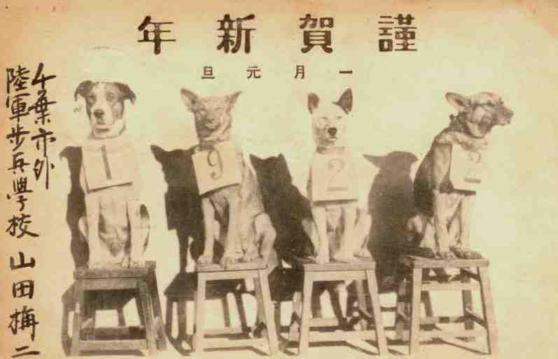 Dogs, 1922 New Year greeting