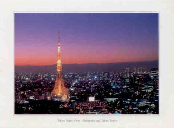 Tokyo, night view of Shinjyuku and Tokyo Tower