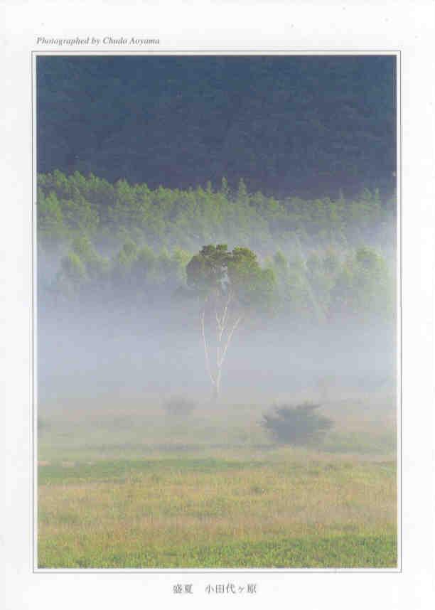Nikko National Park, fog