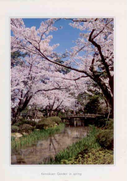 Kanazawa, Kenrokuen Garden in spring, cherry blossoms