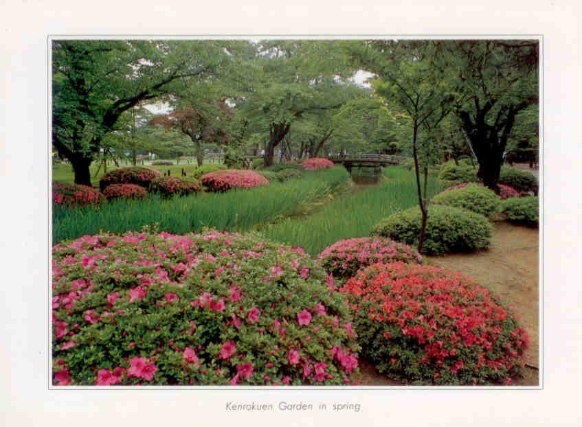 Kanazawa, Kenrokuen Garden in spring, many red flower bushes