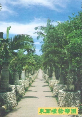 Okinawa, South-East Botanical Garden