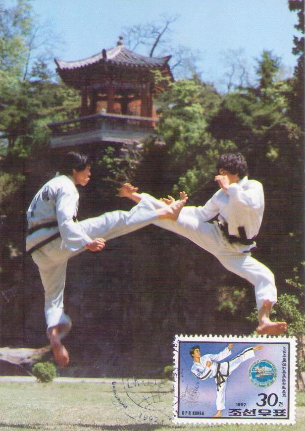 Taekwon-Do (Maximum Card)