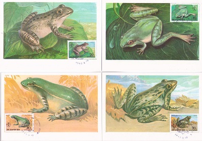 Frogs (set of 6) (Maximum Cards)