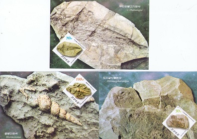 Fossils (set of 3) (Maximum Cards)