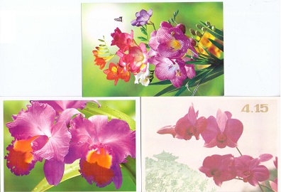 Orchids (group of 3)