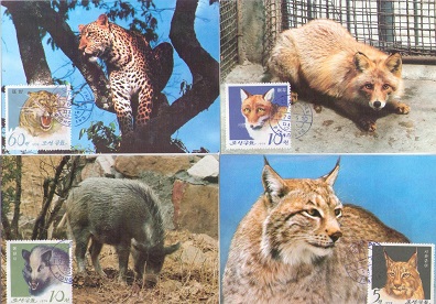 Pyongyang Zoo animals (group of 9) (Maximum Cards)