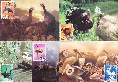 Central Zoo (set of 5) (Maximum Cards)