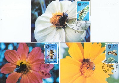 Honey-bee (set of 3) (Maximum Cards)