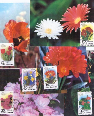 Flowers (set of 6) (Maximum Cards)