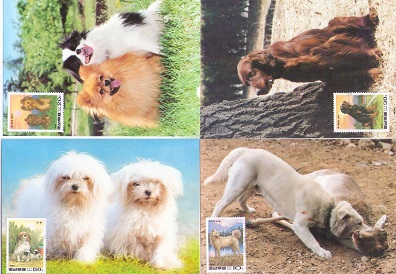 Dogs (set of 5) (Maximum Cards)