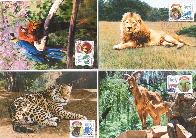 Animals (set of 4) (Maximum Cards)