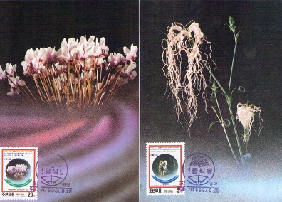 Plants (set of 2) (Maximum Cards)