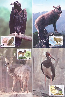 Protected animals (set of 4) (Maximum Cards)