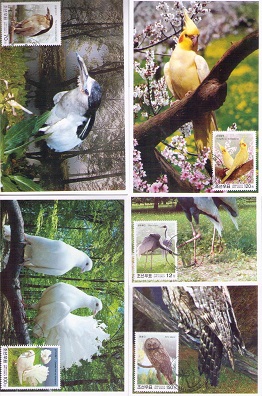 Birds (set of 5) (Maximum Cards)