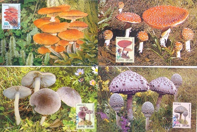 Mushrooms (set of 4) (Maximum Cards)