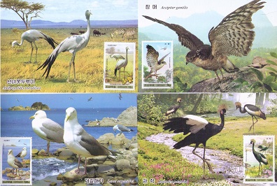 Birds (set of 4, front captions) (Maximum Cards)