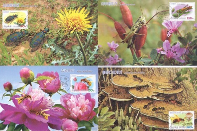 Insects (set of 4) (Maximum Cards)