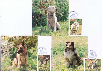 Dogs (group of 3) (Maximum Cards)