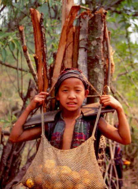 Northern Laos, Jeune IKO, retour corvee de bois