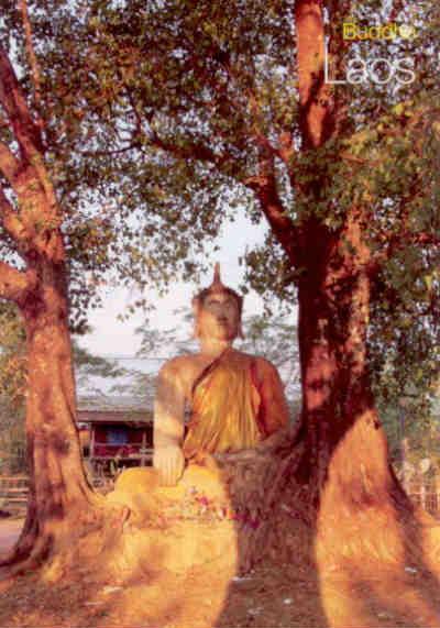 Buddha, Champasak (Laos)