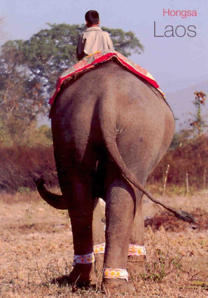 Hongsa, Sayaboury, Elephant Festival