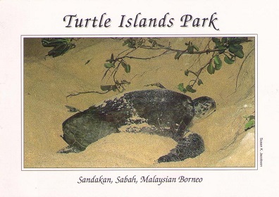 Sandakan, Turtle Islands Park