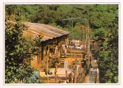 The outer platform of an Iban longhouse