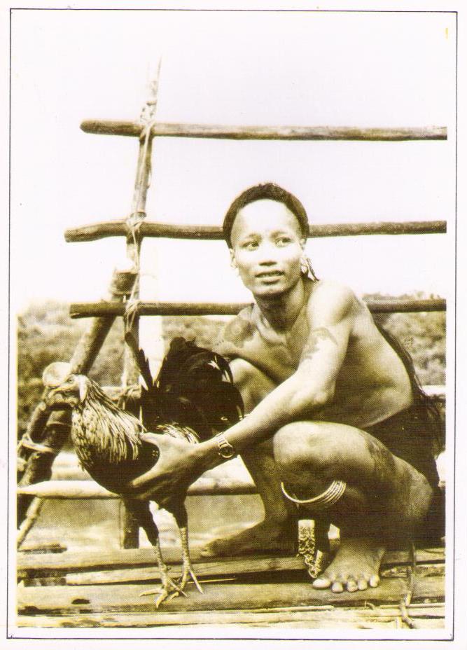 Young Iban with fighting-cock