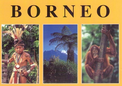 Borneo, multiple views