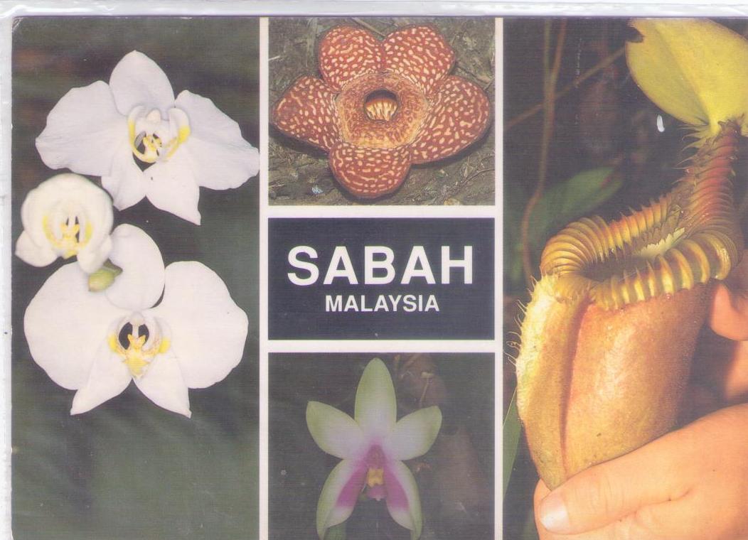 Sabah, flora