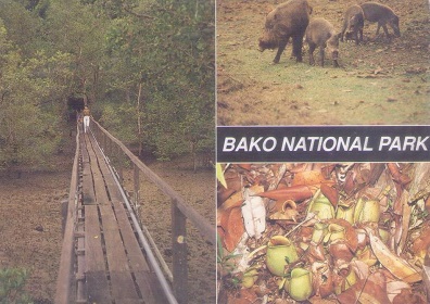 Sarawak, Bako National Park