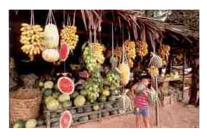 Roadside fruit stalls