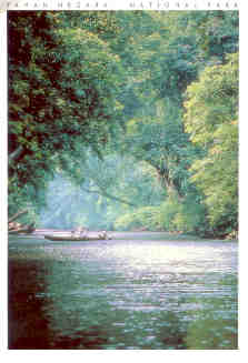 Taman Negara, National Park