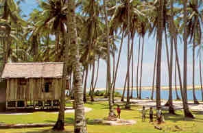 Terengganu coast, typical kampong house