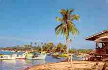 East coast fishing boats