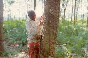 Woman tapping rubber