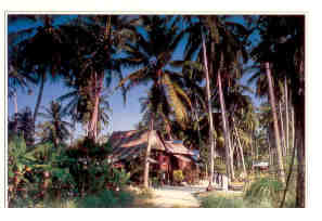 Houses of Malaysian countryside