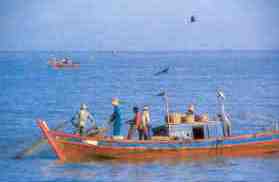 Fishermen at work