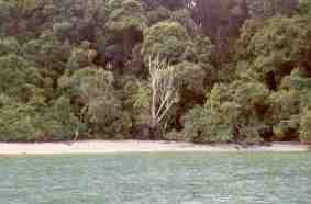 Pangkor, Teluk Nipah Beach