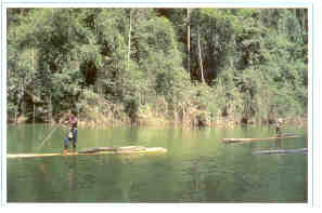 Aborigine men transporting rattan