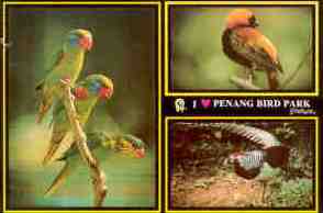 I heart Penang Bird Park