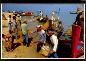 Fishermen at work