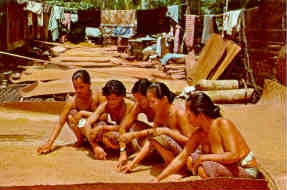 Sarawak, Sea Dayak maidens