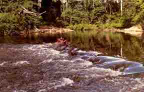 Taman Negara, Lubuk Simpon, Sungai Tahan