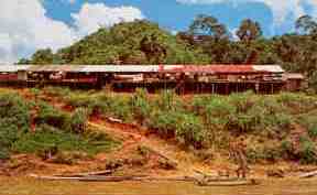 Sarawak, longhouse